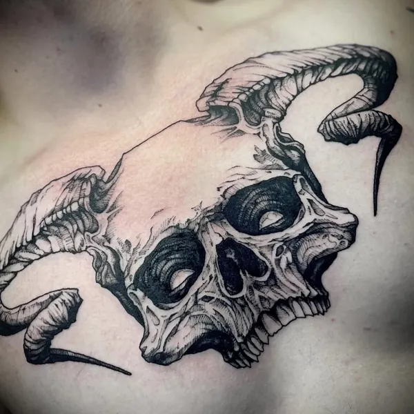 Ram skull