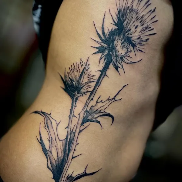 Thistle